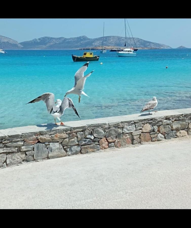 Eos - Appartement De Charme Et Confort Pour 4 Personnes Pres De La Plage Et Du Coeur De Koufonissi Koufonisia Buitenkant foto